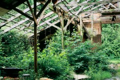 American Entropy (2005)