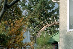 Bridge (Garden View)